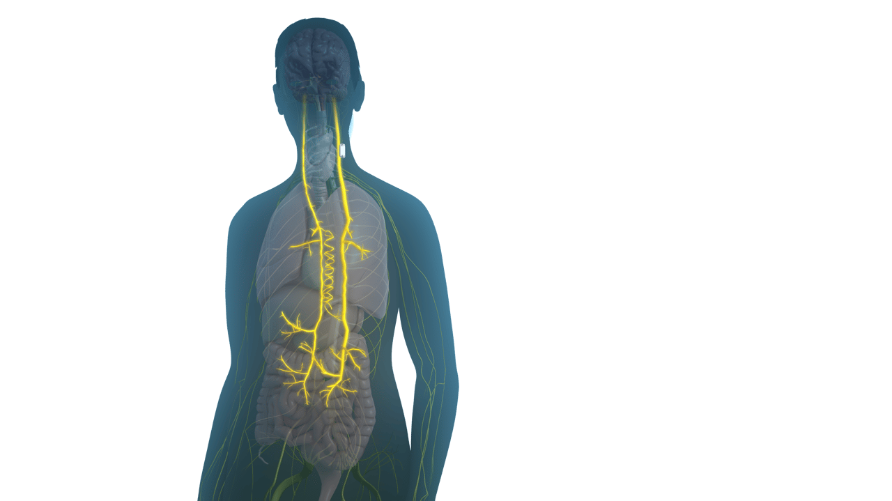 SetPoint's Miniature Implant Offers New Hope for Rheumatoid Arthritis ...